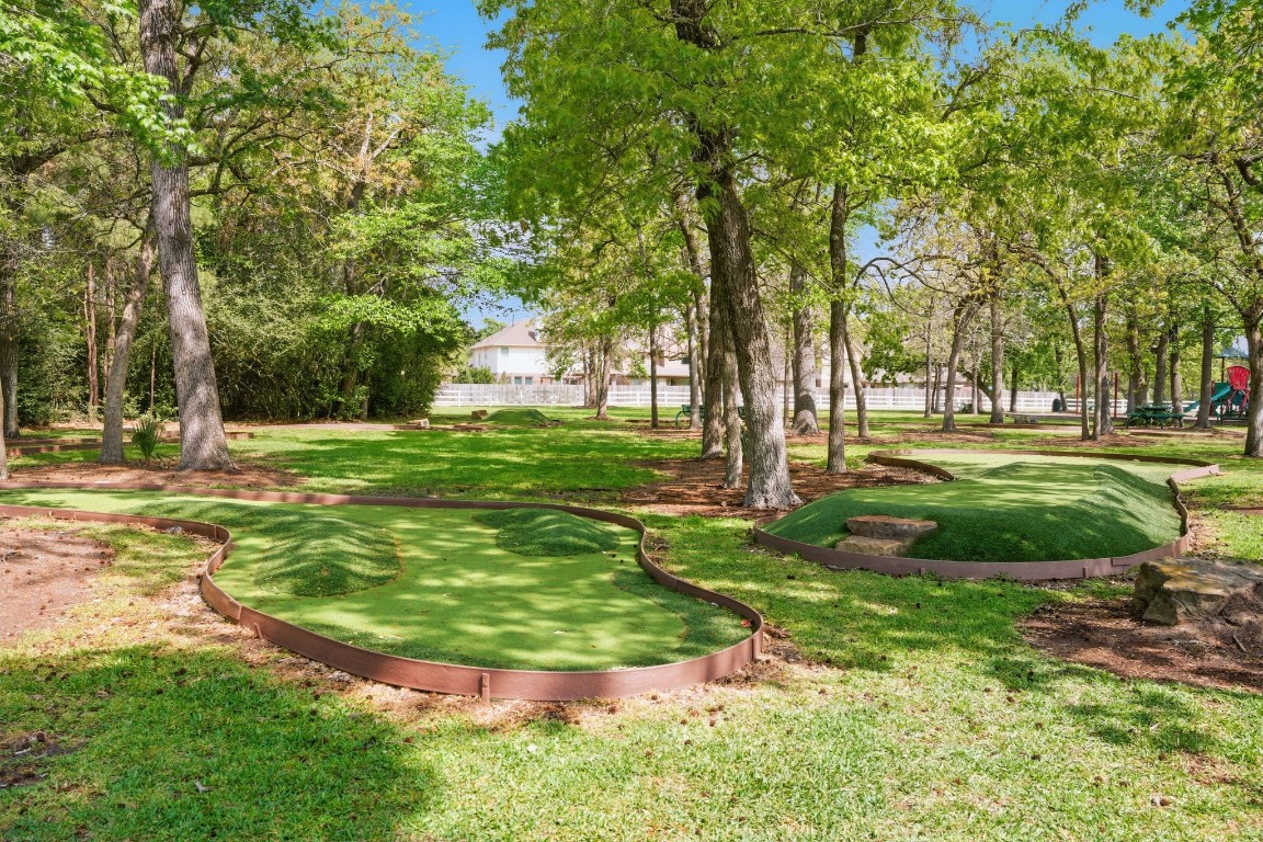 315 Arbor Ridge Lane Conroe, TX 77384 - Photo 39 of 47 Community Putt Putt course
