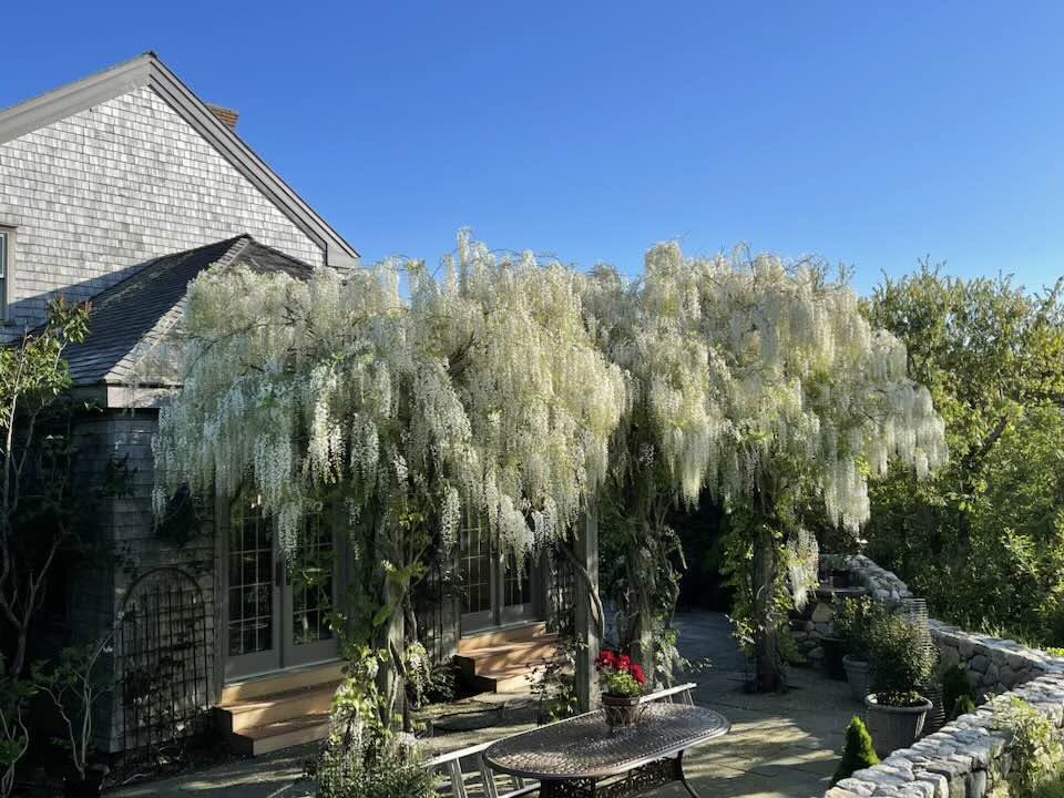 263 Polpis Road Nantucket, MA 02554 - Photo 43 of 53