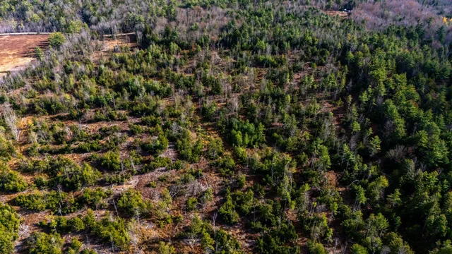 $239,900 | 0 Leighton Corner Road, Ossipee, NH 03864