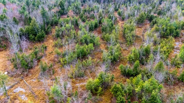 $239,900 | 0 Leighton Corner Road, Ossipee, NH 03864