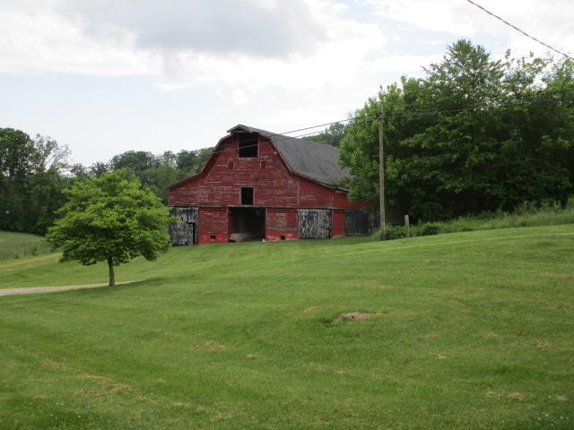 5269 Hwy 92 Rutledge Tn 37861 Rutledge, TN 37861 - Photo 3 of 12 IMG_1964