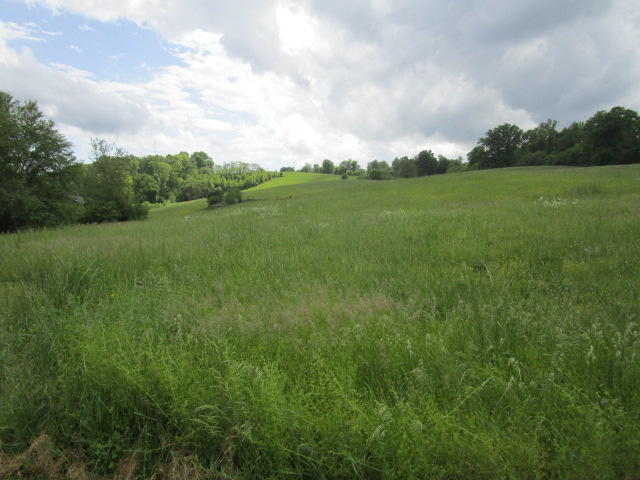 5269 Hwy 92 Rutledge Tn 37861 Rutledge, TN 37861 - Photo 5 of 12 IMG_1961