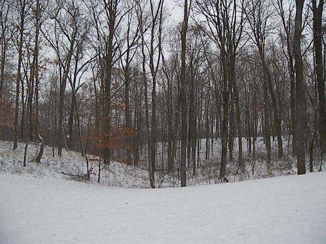 7709 Spring Ridge Way Indianapolis, IN 46278 - Photo 12 of 12 Gallery Image 12
