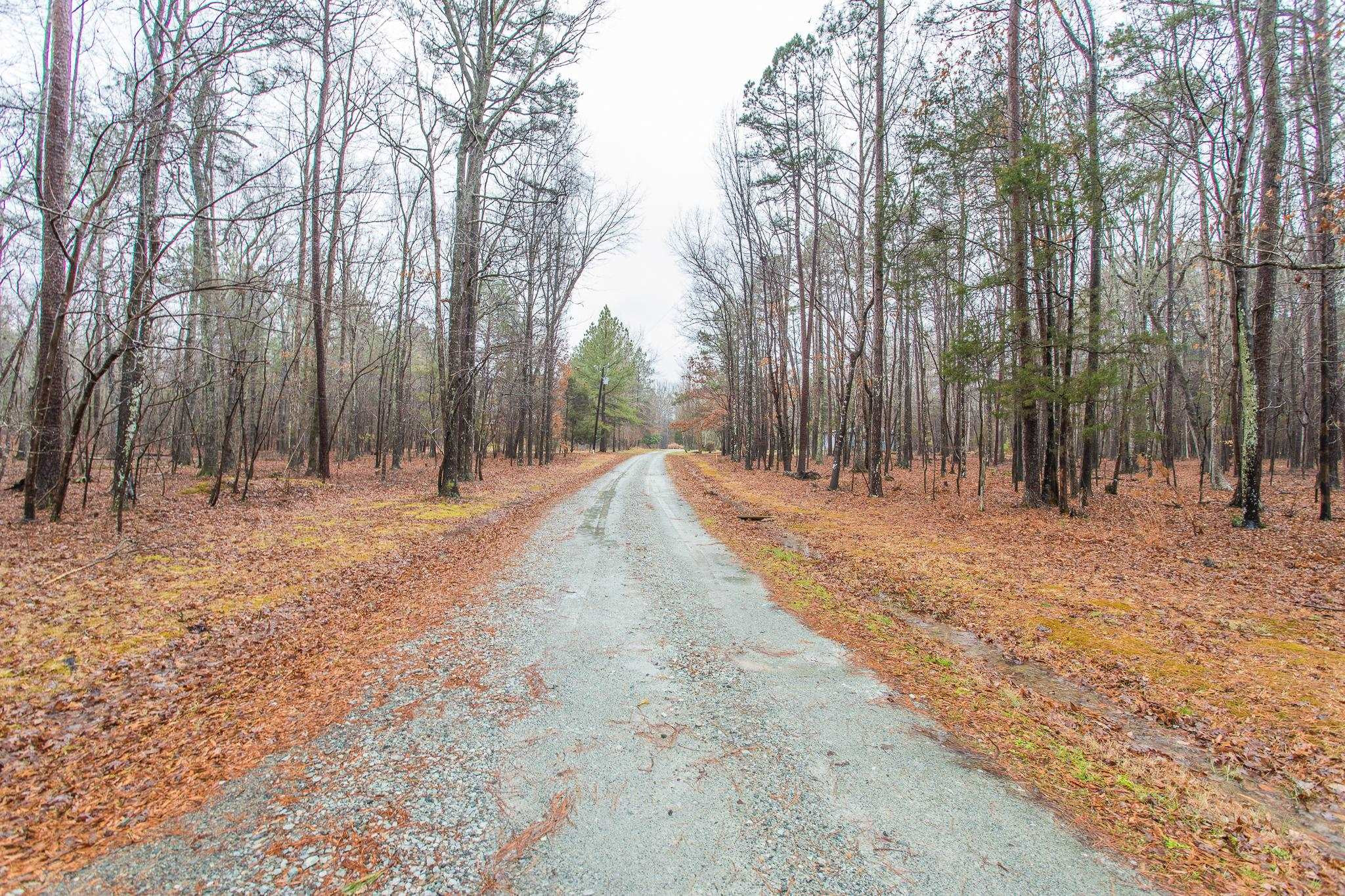 6802 Innesbrook Way Bahama, NC 27503 - Photo 11 of 39 Photo 11