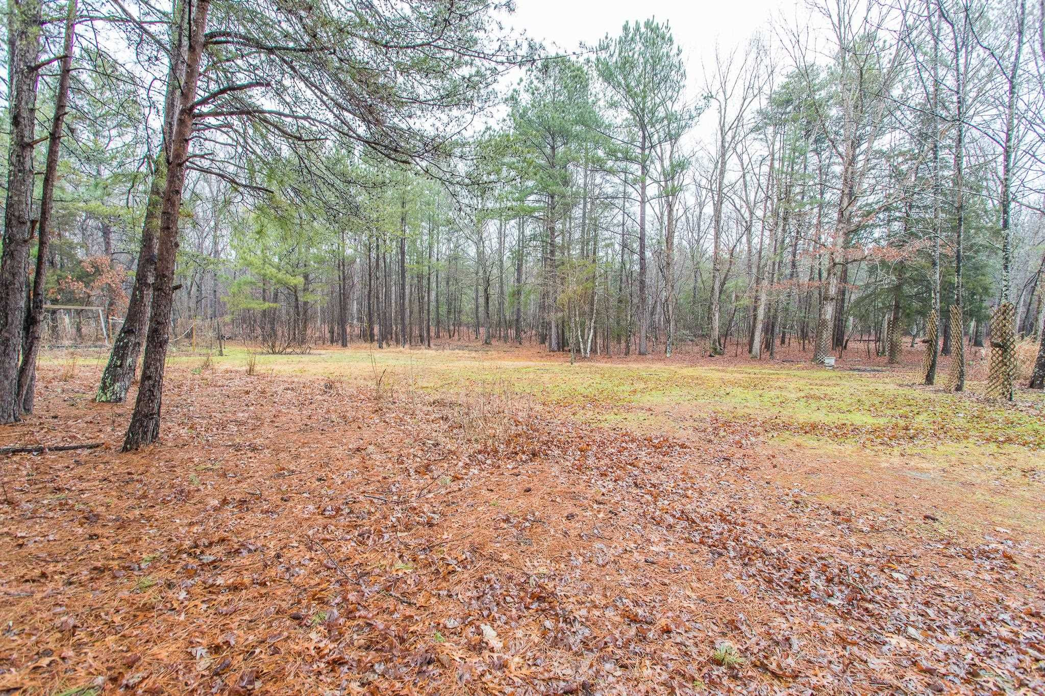 6802 Innesbrook Way Bahama, NC 27503 - Photo 10 of 39 Photo 10