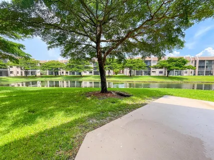 a view of a park with large trees and a big yard with plants and large trees