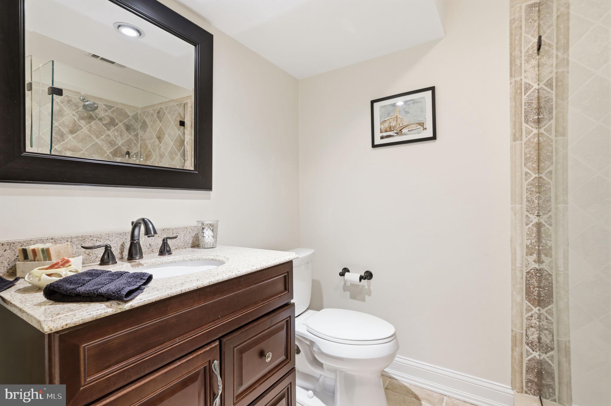 4757 Upper Mountain Road New Hope, PA 18938 - Photo 46 of 70 Lower Level Full Bath
