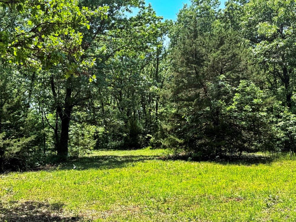 Tbd3 East 1550 Road Jerico Springs, MO 64756 - Photo 22 of 42