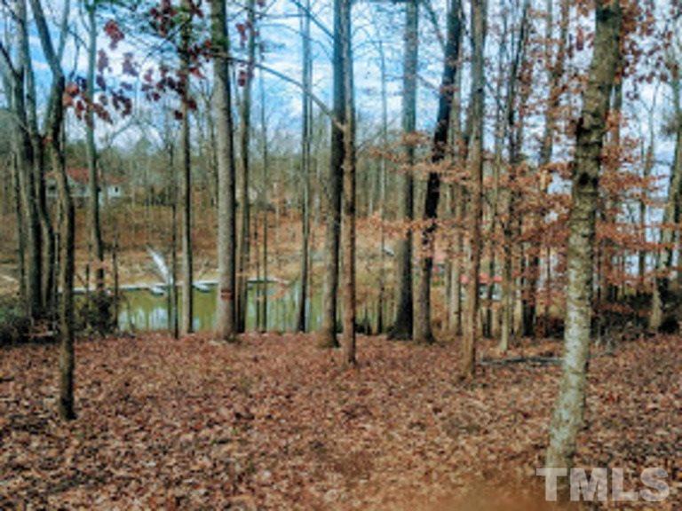 Pointe Place Clarksville, VA 23927 - Photo 13 of 19 a backyard of a house with lots of green space
