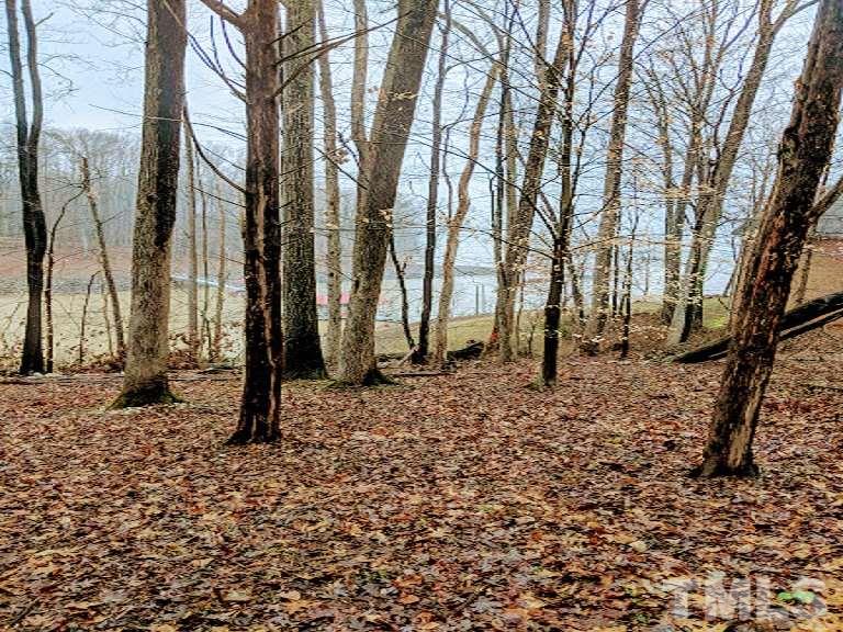Pointe Place Clarksville, VA 23927 - Photo 14 of 19 a view of a backyard with large trees