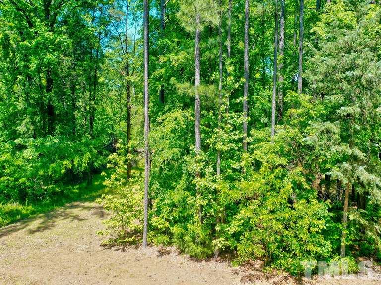 Pointe Place Clarksville, VA 23927 - Photo 9 of 19 a view of a lush green forest