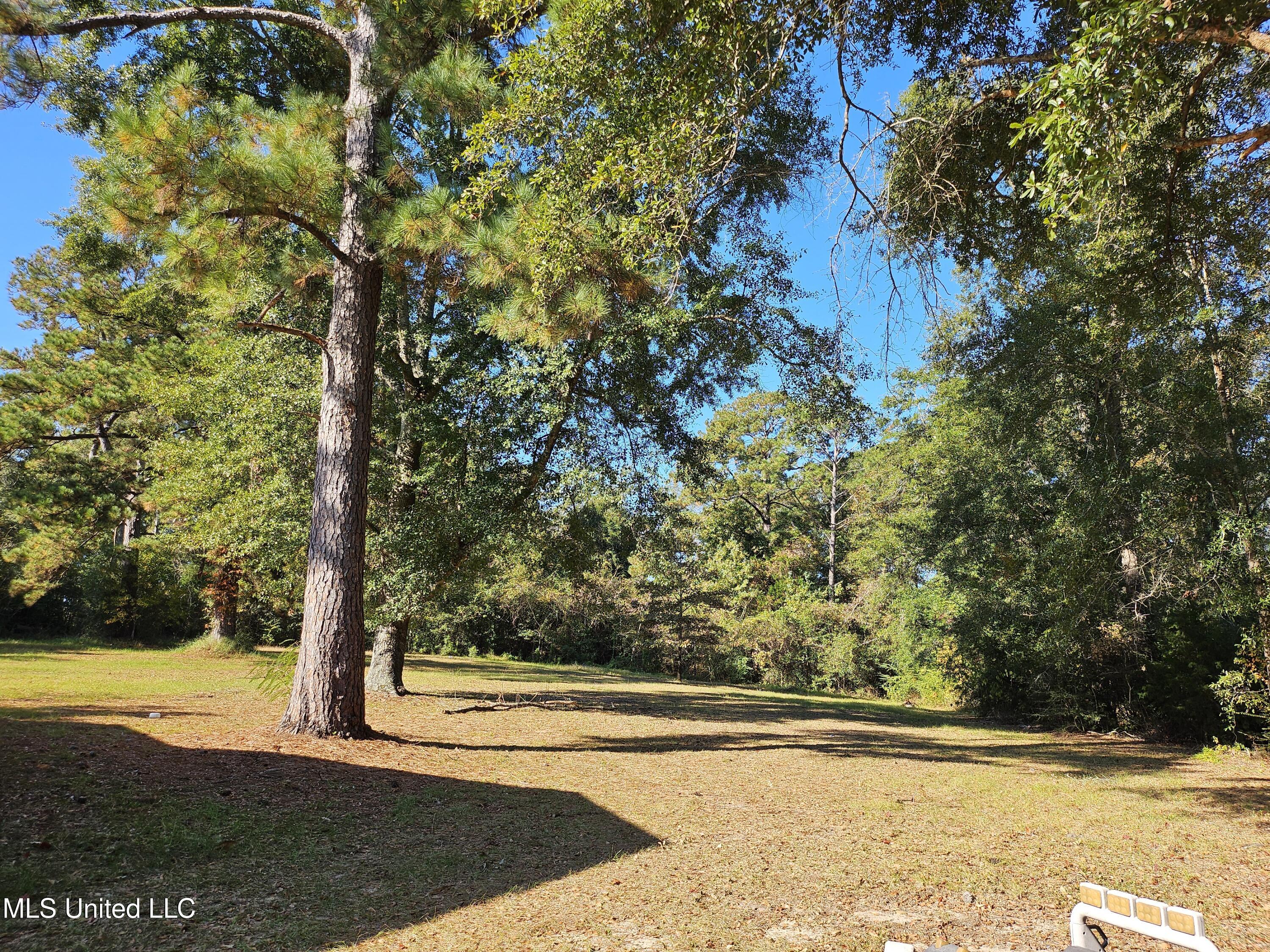 177 Mason Road Lucedale, MS 39452 - Photo 4 of 21 20241024_094343