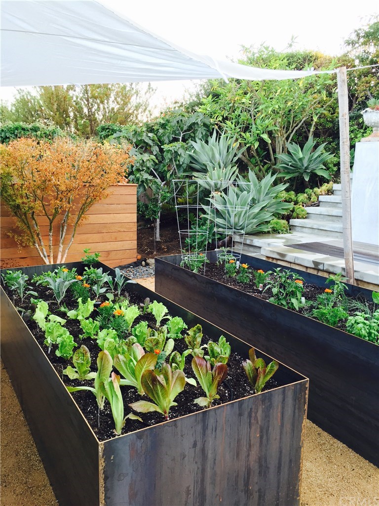 32561 Balearic Dana Point, CA 92629 - Photo 28 of 41 Raised bed gardens.