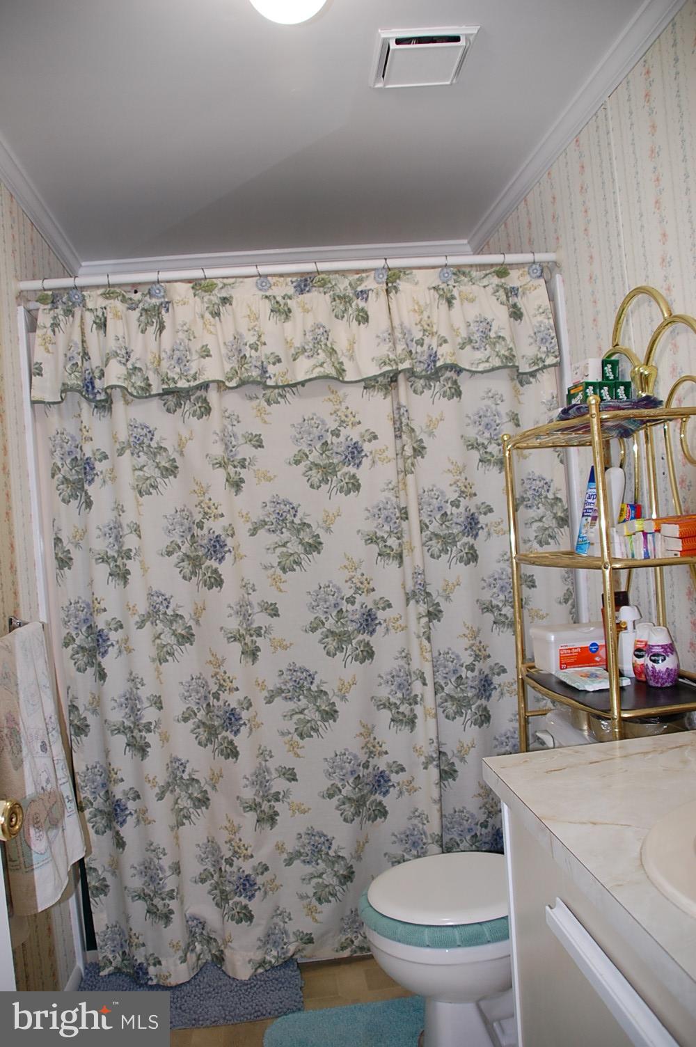 10505 Cedarville Road Brandywine, MD 20613 - Photo 26 of 36 Hall Full Bath