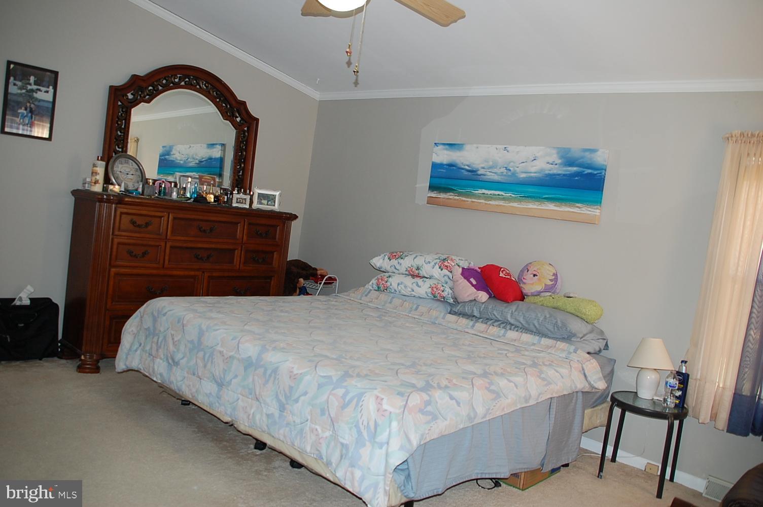 10505 Cedarville Road Brandywine, MD 20613 - Photo 31 of 36 Another View of PBRm