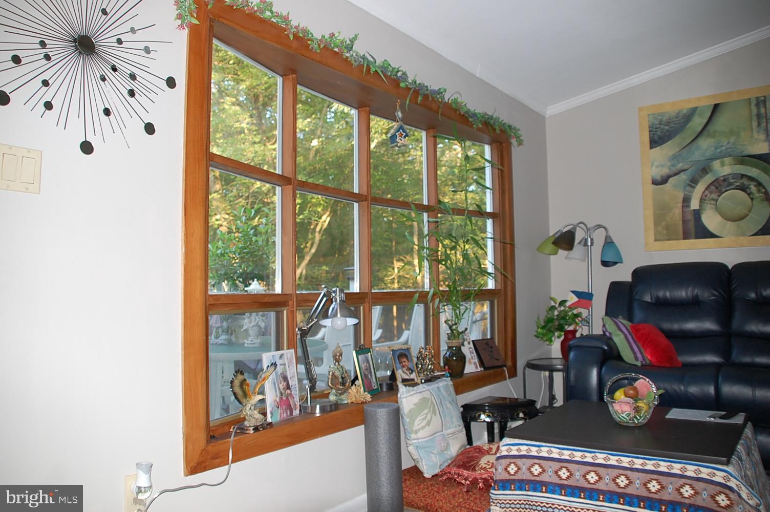 10505 Cedarville Road Brandywine, MD 20613 - Photo 10 of 36 Picture Window at Front Door