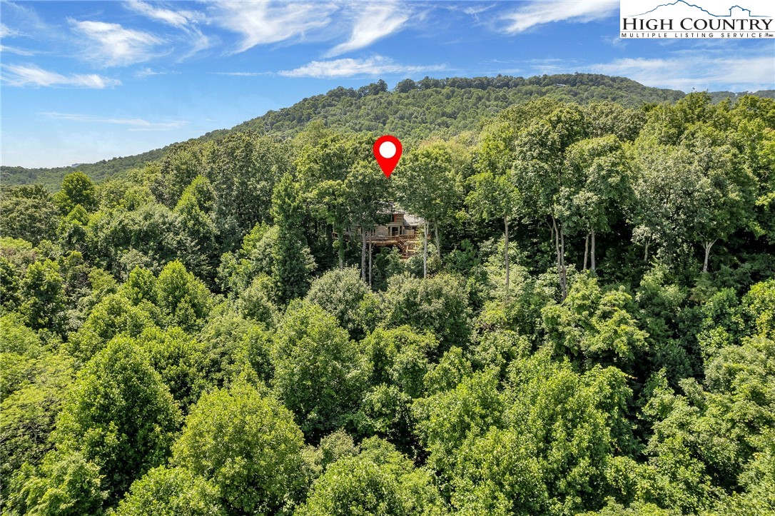 538 Homestead Road Todd, NC 28684 - Photo 31 of 32 Gallery Image 31
