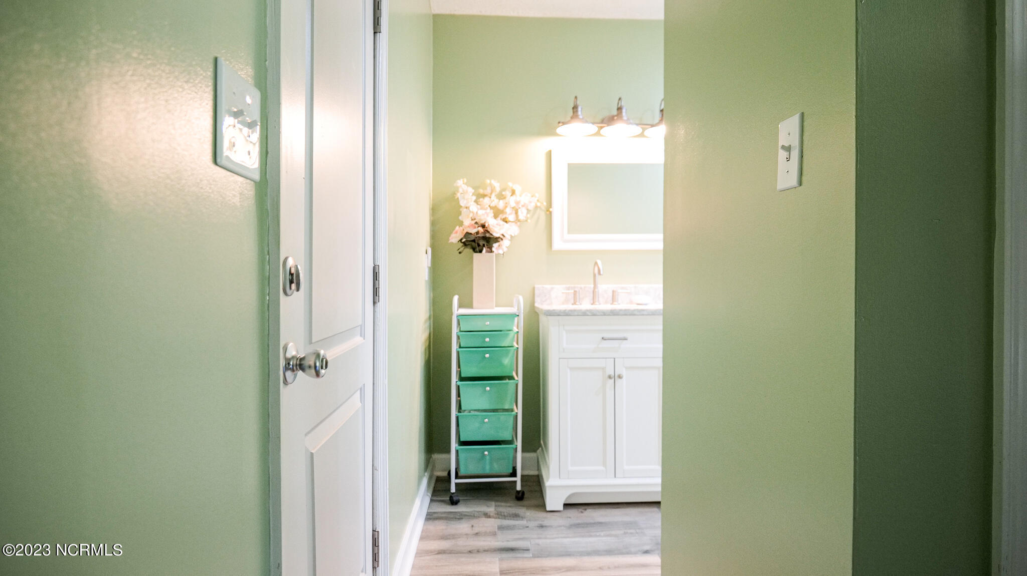 302 Tram Road Whiteville, NC 28472 - Photo 29 of 59 _ANA3954