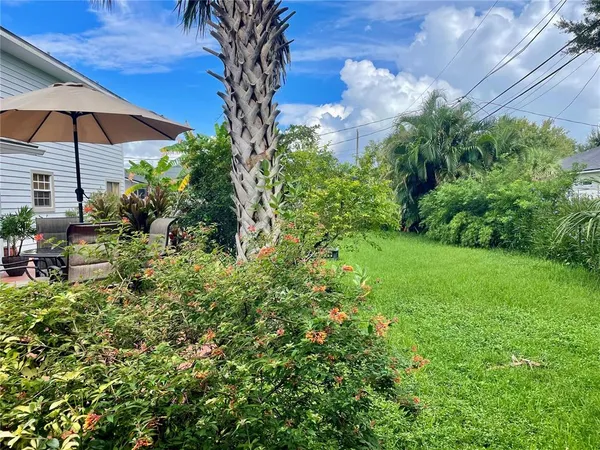 a view of a garden with an umbrella