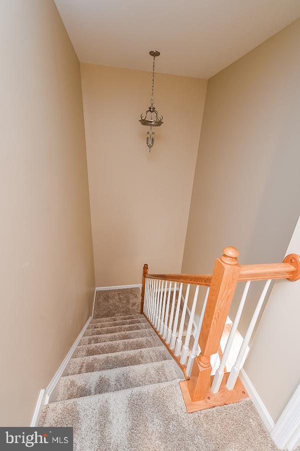 1406 Cat Tail Court Salisbury, MD 21804 - Photo 33 of 68