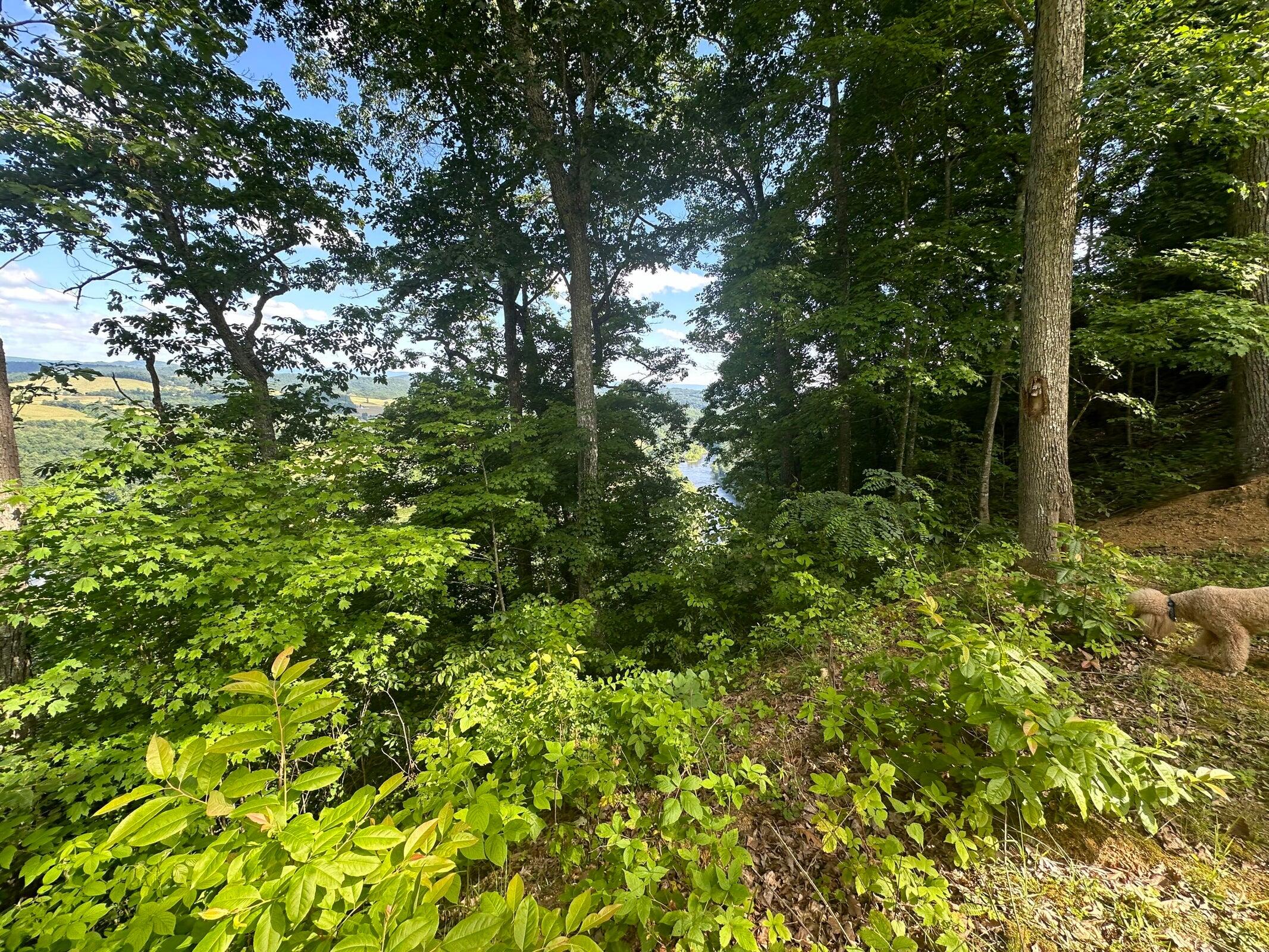 1 Riverview Ridge Hinton, WV 25951 - Photo 9 of 27 Gallery Image 9