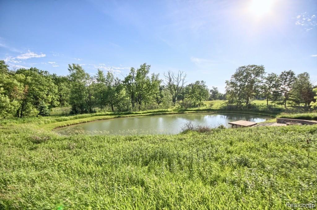 1598 Woodhaven Road Howell, MI 48855 - Photo 50 of 52 Pond.jpg