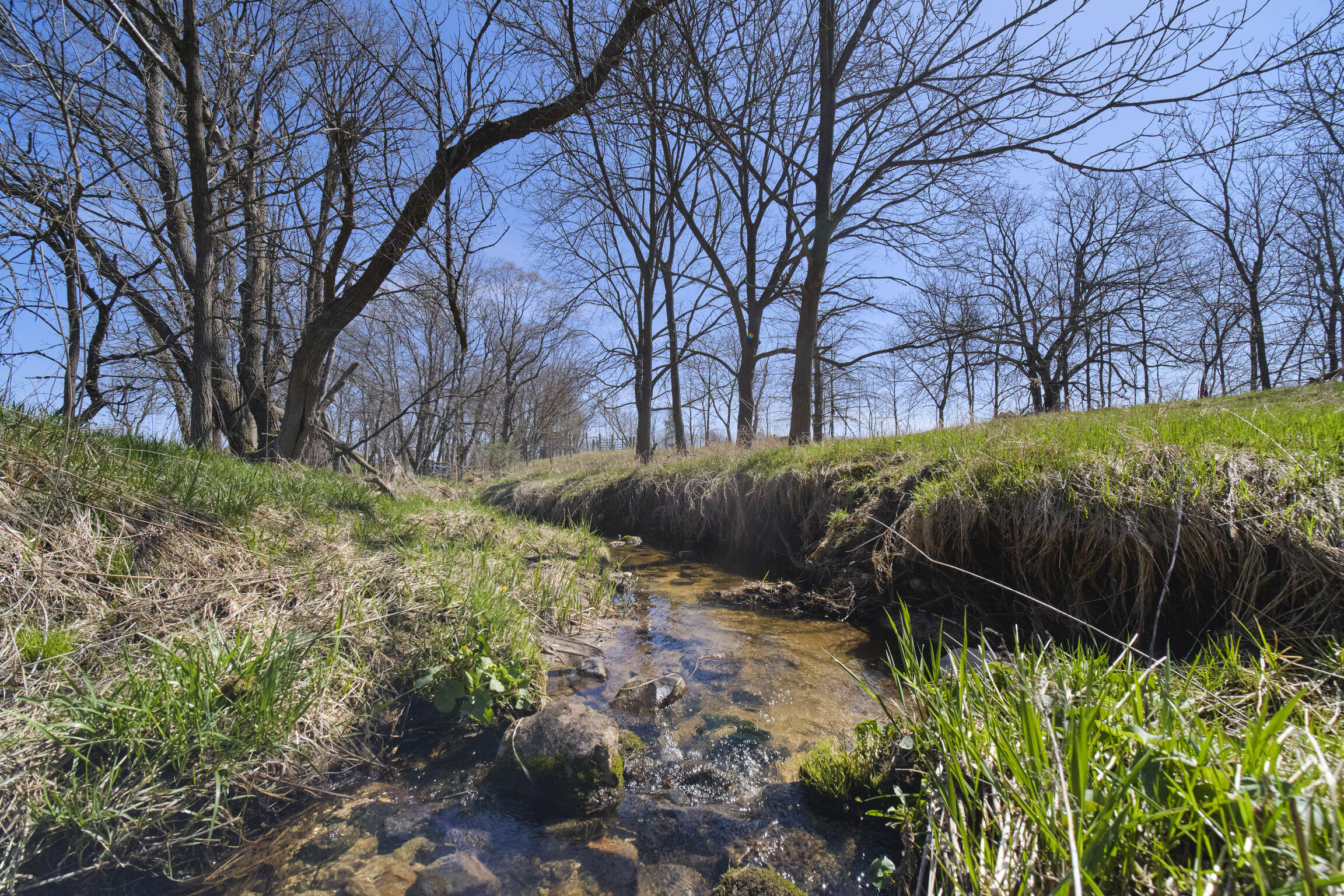 7783 East 17 Mile Road Reed City, MI 49677 - Photo 6 of 74 7783_17_Mile_Rd-39