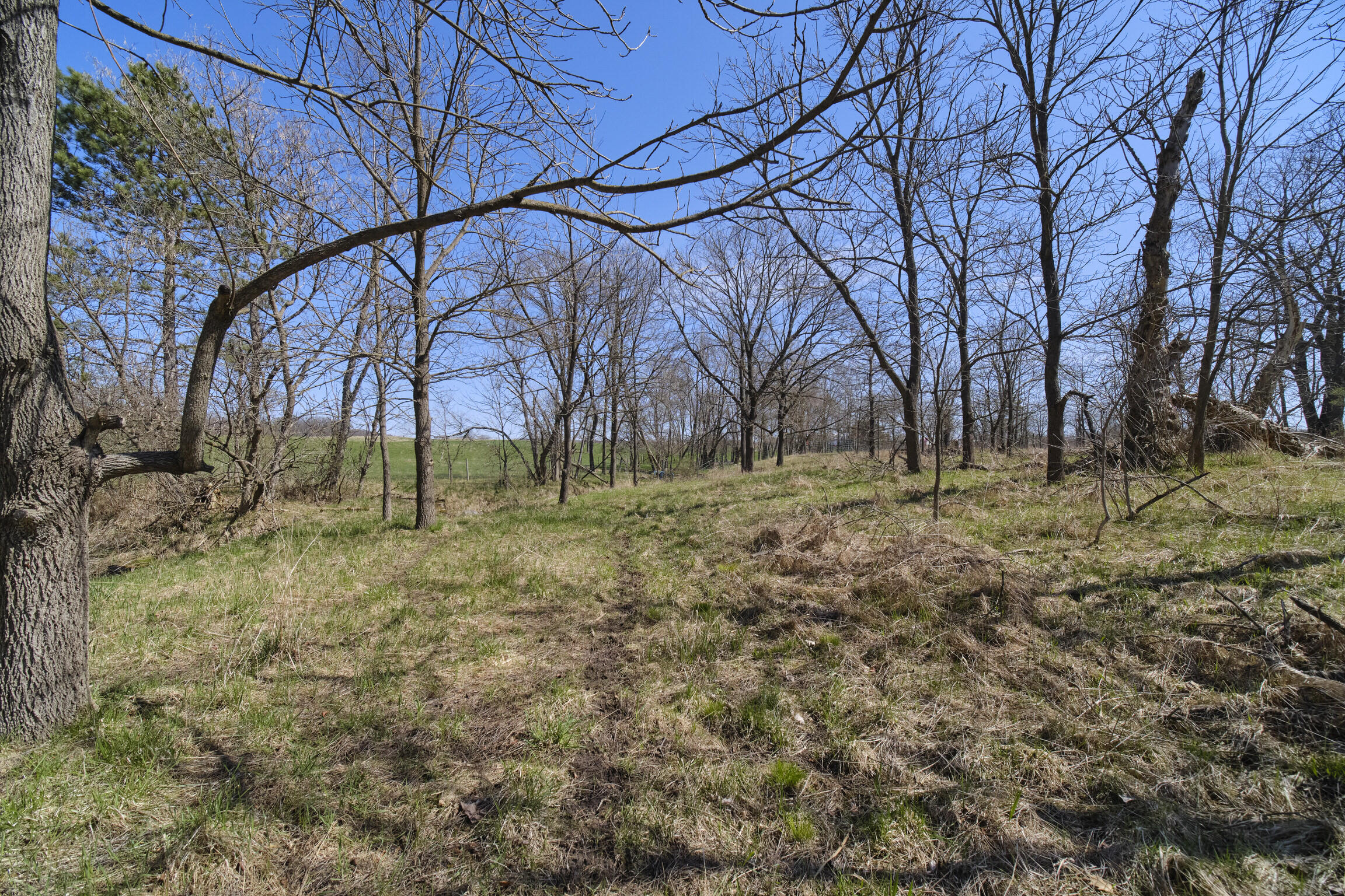 7783 East 17 Mile Road Reed City, MI 49677 - Photo 65 of 74 7783 17 Mile