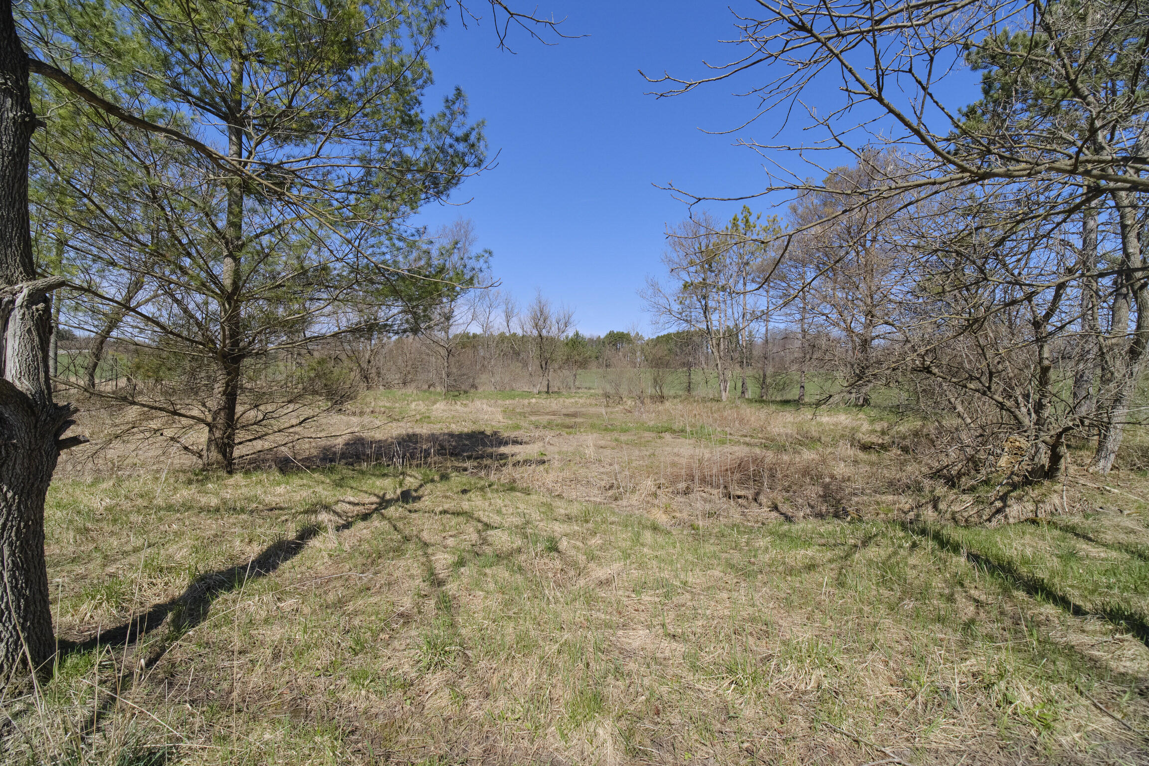 7783 East 17 Mile Road Reed City, MI 49677 - Photo 66 of 74 7783 17 Mile