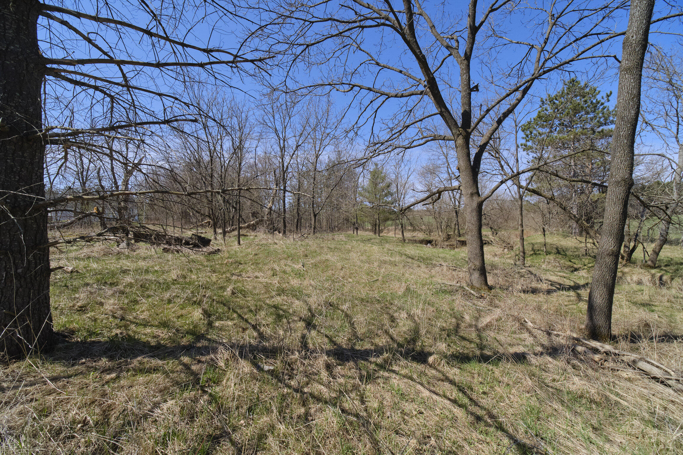 7783 East 17 Mile Road Reed City, MI 49677 - Photo 69 of 74 7783 17 Mile