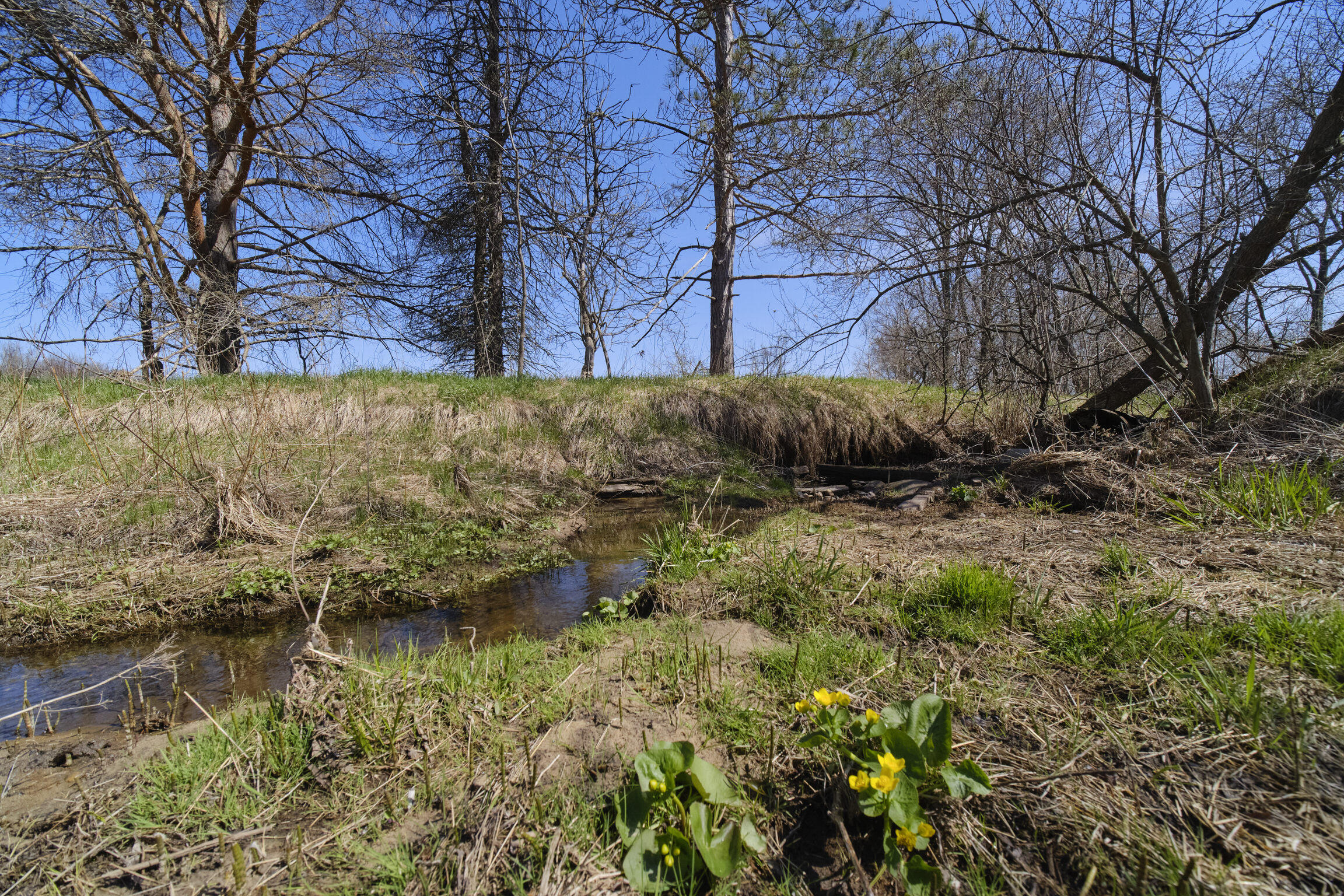 7783 East 17 Mile Road Reed City, MI 49677 - Photo 70 of 74 7783 17 Mile