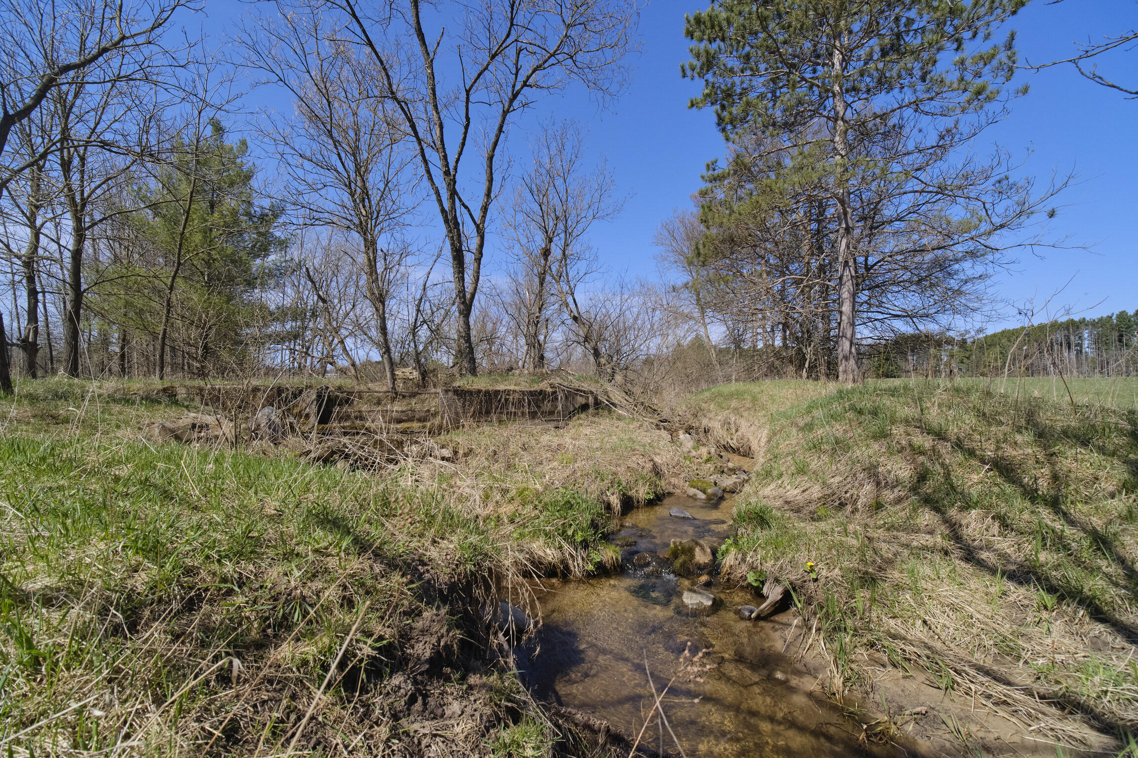 7783 East 17 Mile Road Reed City, MI 49677 - Photo 7 of 74 7783 17 Mile7783 17 Mile