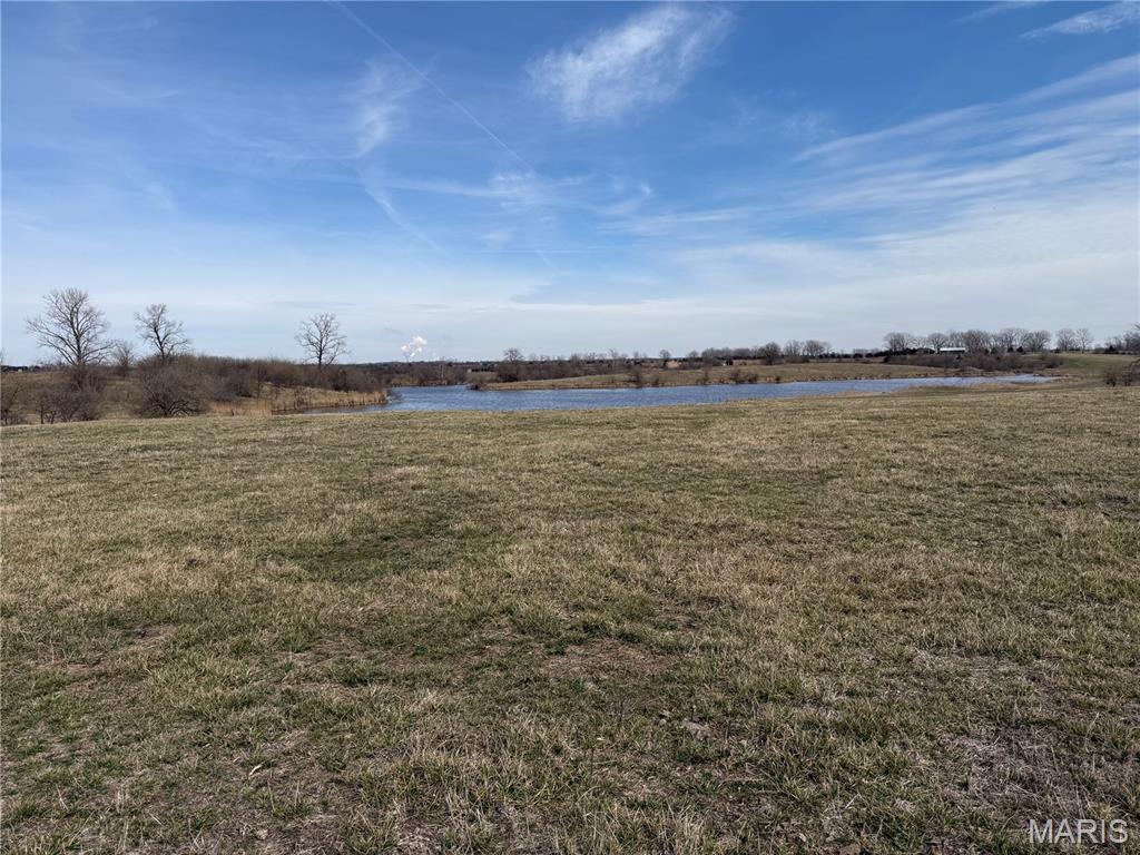 0 County Highway Marissa, IL 62257 - Photo 4 of 18