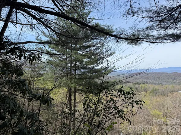 a view of a backyard of the house