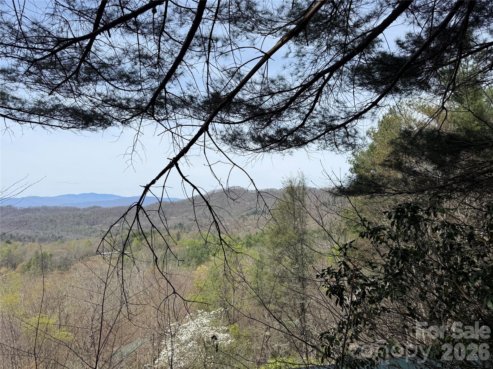 473 Echo Ridge Road Whittier, NC 28789 - Photo 6 of 9