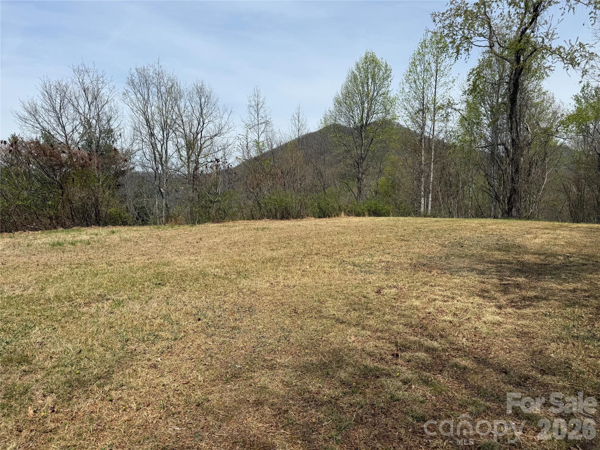 473 Echo Ridge Road Whittier, NC 28789 - Photo 7 of 9