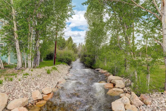 a view of a yard with plants and large trees