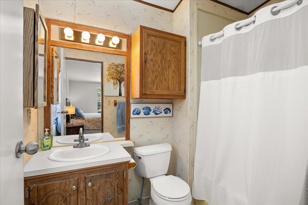 363 Elm Pass 2 Center Point, TX 78010 - Photo 24 of 60 a bathroom with a sink a toilet and mirror
