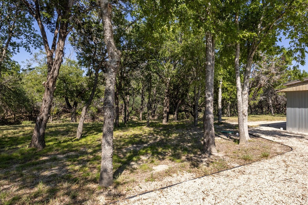 363 Elm Pass 2 Center Point, TX 78010 - Photo 31 of 60 a backyard of a house with lots of green space
