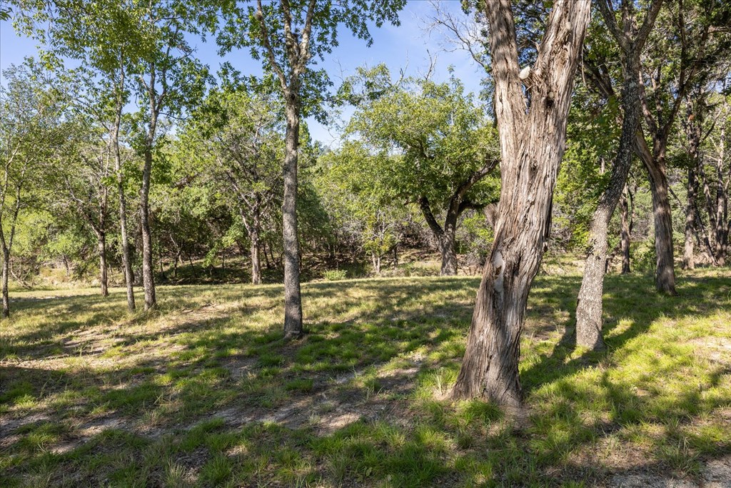 363 Elm Pass 2 Center Point, TX 78010 - Photo 32 of 60 a view of a tree in a yard