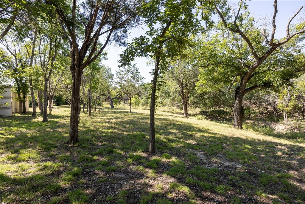 363 Elm Pass 2 Center Point, TX 78010 - Photo 43 of 60 a view of outdoor space with trees
