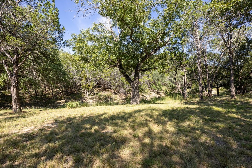 363 Elm Pass 2 Center Point, TX 78010 - Photo 45 of 60 a view of a yard with trees