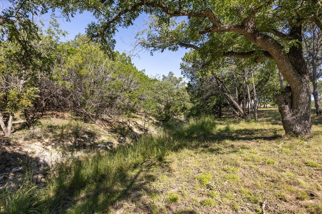 363 Elm Pass 2 Center Point, TX 78010 - Photo 46 of 60