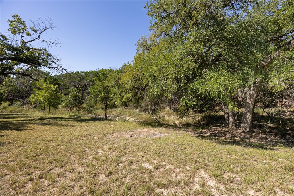 363 Elm Pass 2 Center Point, TX 78010 - Photo 47 of 60 a view of a yard with a tree