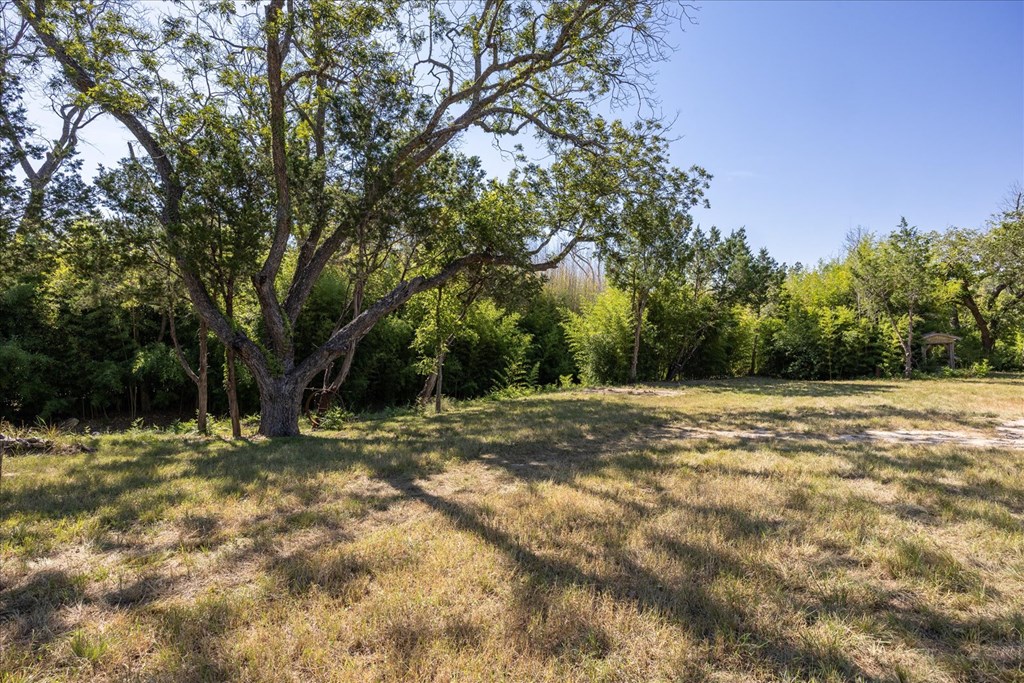 363 Elm Pass 2 Center Point, TX 78010 - Photo 49 of 60 a view of a yard with a tree