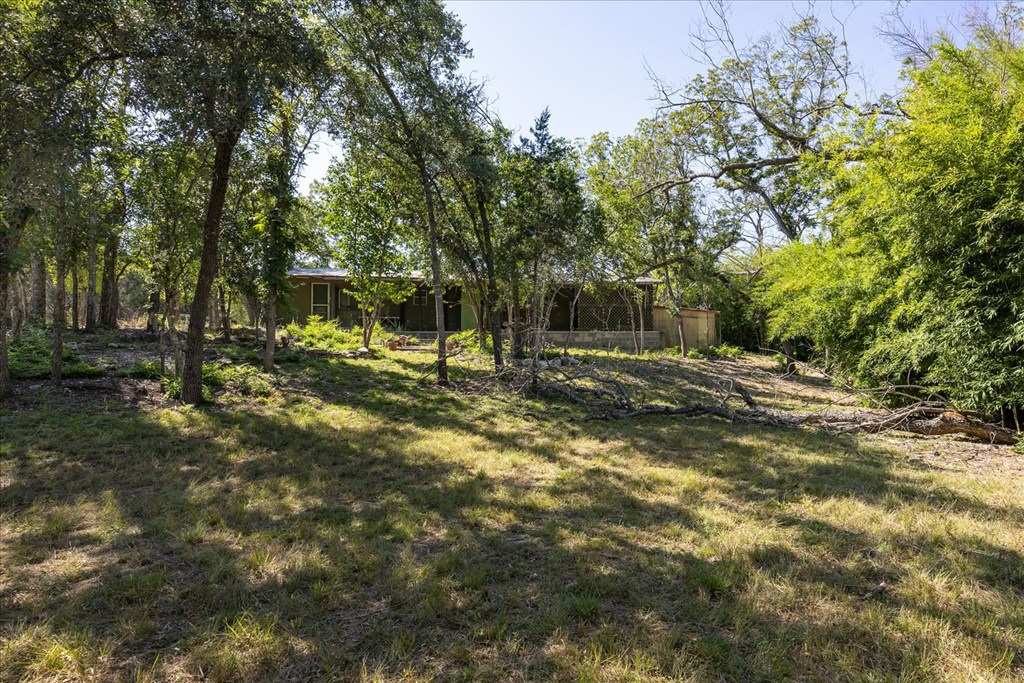 363 Elm Pass 2 Center Point, TX 78010 - Photo 51 of 60 a view of outdoor space with trees all around