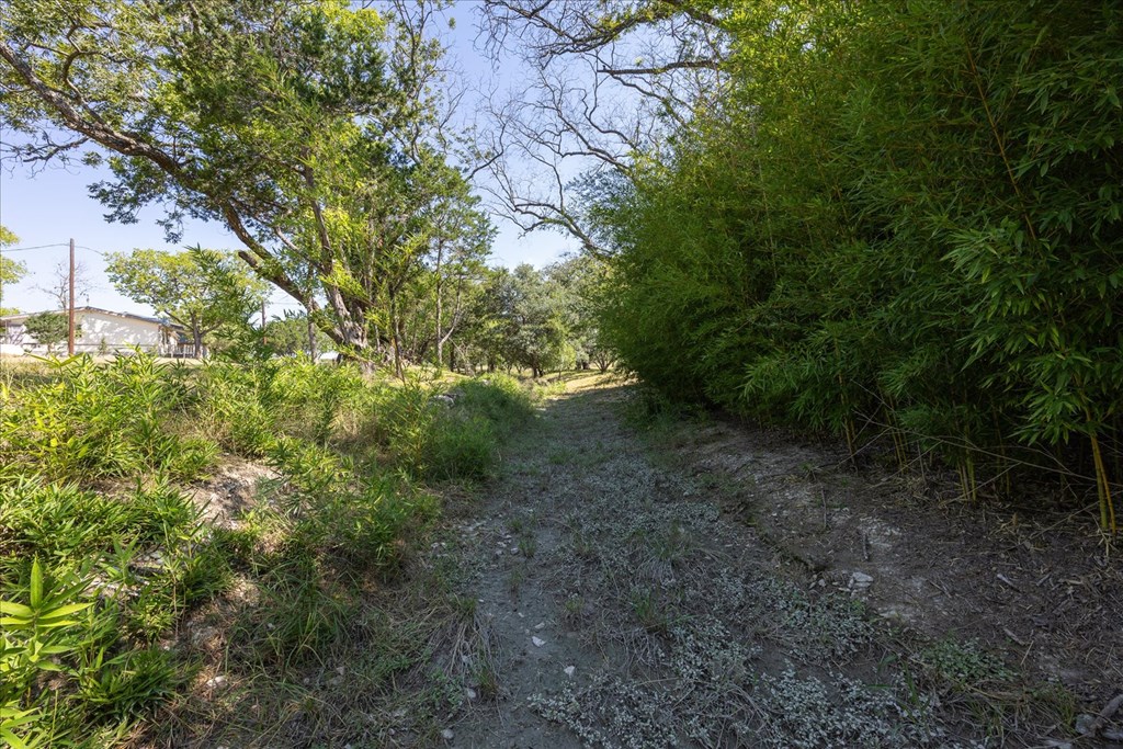 363 Elm Pass 2 Center Point, TX 78010 - Photo 54 of 60 a view of a yard with plants and large trees
