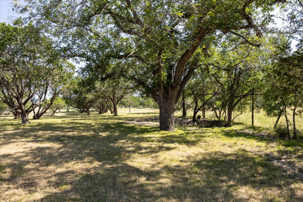 363 Elm Pass 2 Center Point, TX 78010 - Photo 55 of 60 a view of yard with trees