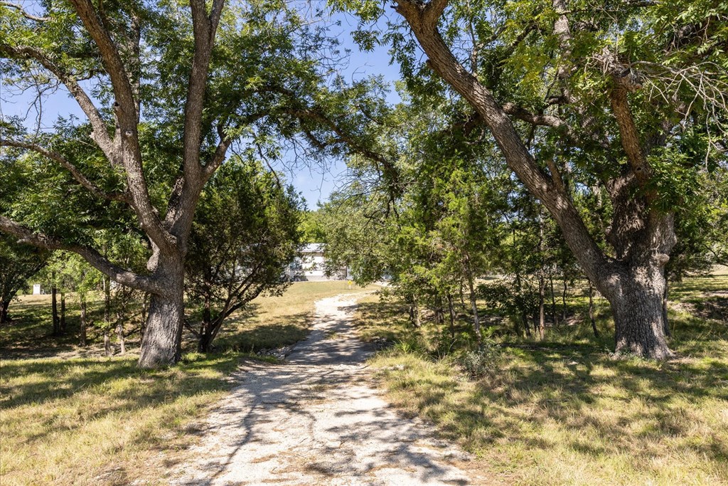 363 Elm Pass 2 Center Point, TX 78010 - Photo 56 of 60 a view of a yard with a tree