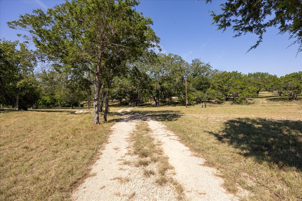 363 Elm Pass 2 Center Point, TX 78010 - Photo 57 of 60 a view of outdoor space with trees